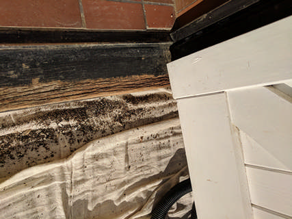 Exterior Door Treatment in Clanfield Thumbnail photo for Exterior Door Treatment in Clanfield which expands to full size when selected