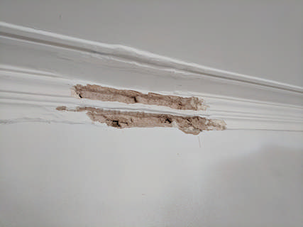 Cornice Plaster Repair and Painting in Bampton Thumbnail photo for Cornice Plaster Repair and Painting in Bampton with link to full gallery